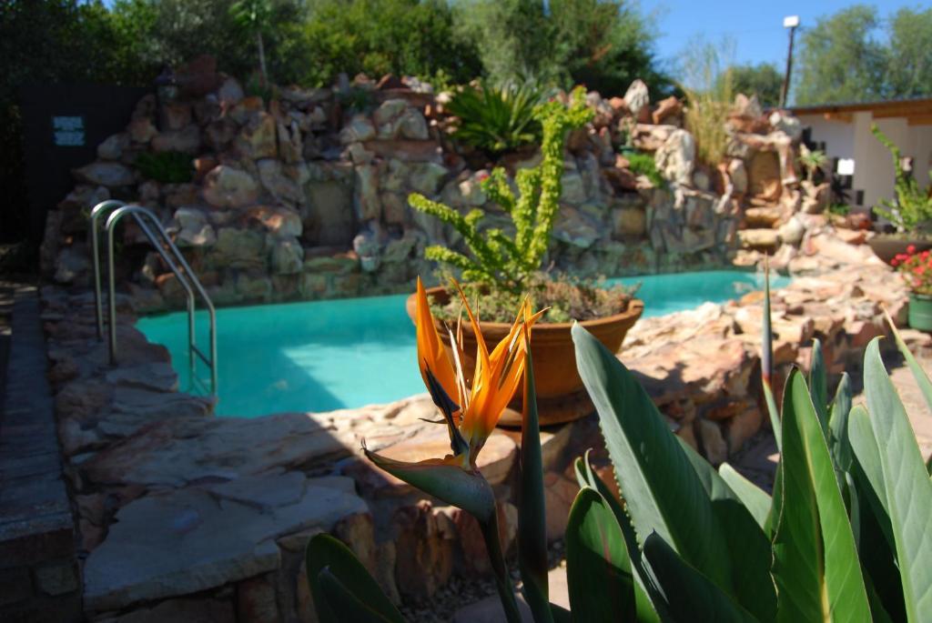 Beit Shalom Before Known As Best Little Guesthouse Oudtshoorn Exterior foto
